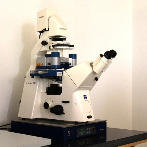 Labor_AFM_500_500px