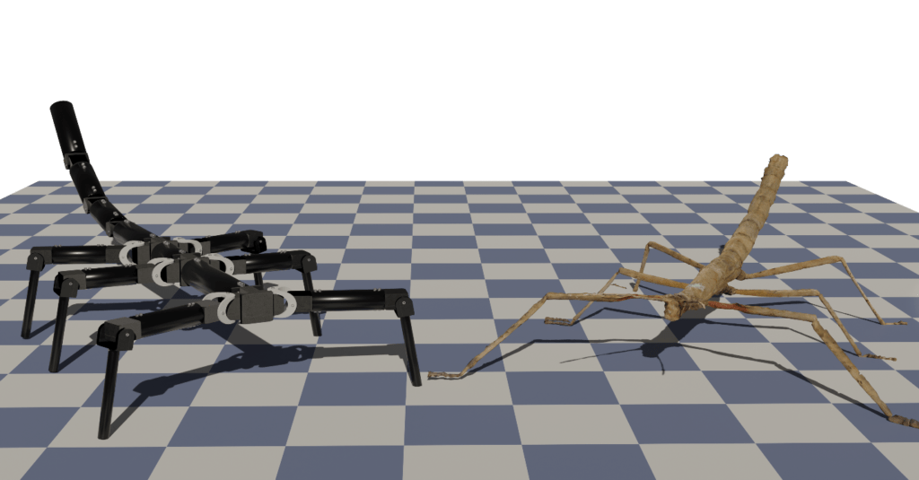 Gegenüberstellendes Rendering eines Stabheuschrecke mit einem robotischen Modell.